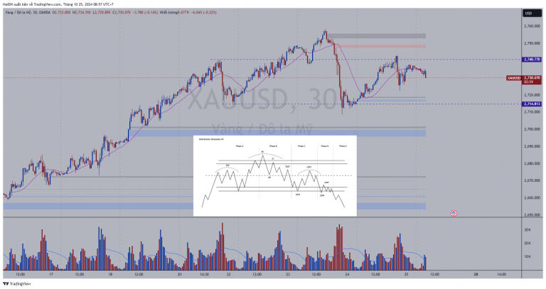 XAUUSD_2024-10-25_08-57-02