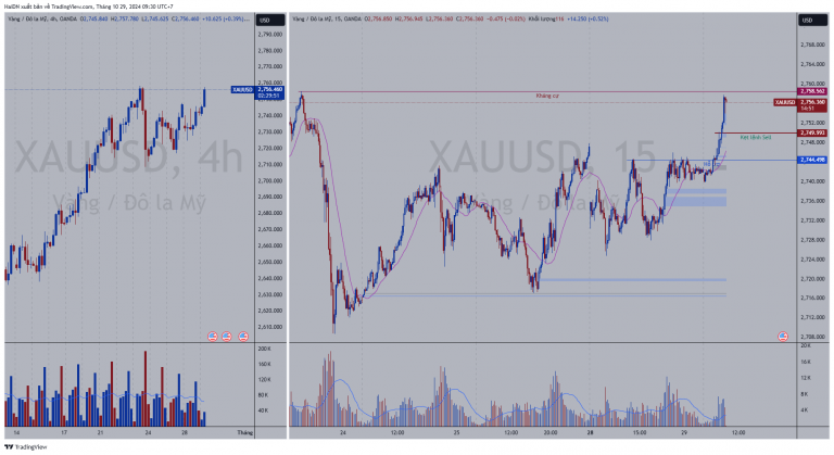 XAUUSD_2024-10-29_09-30-11