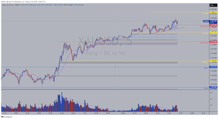 XAUUSD_2024-10-30_13-08-01