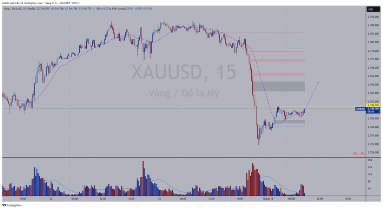 XAUUSD_2024-11-01_08-51-16